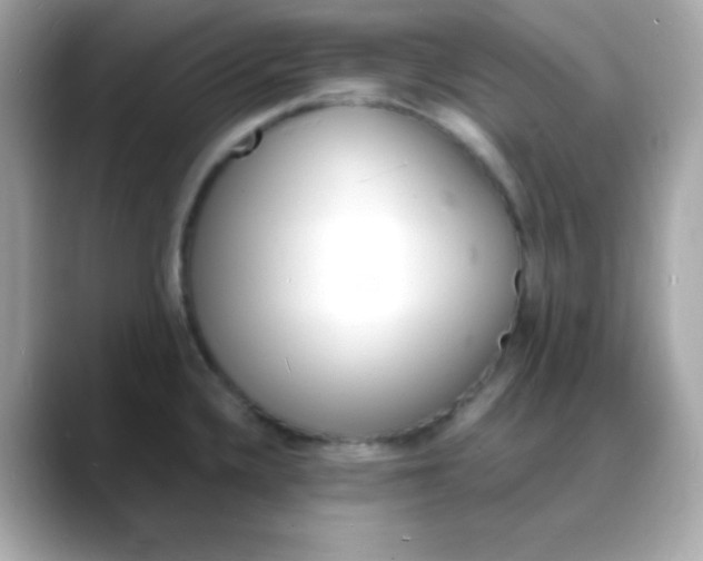 X0000088131336200706041941