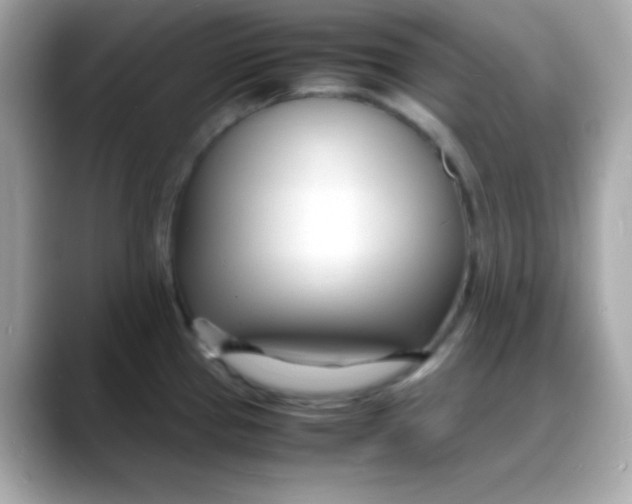 X0000088131337200706041941