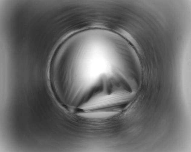 X0000088131339200706041941