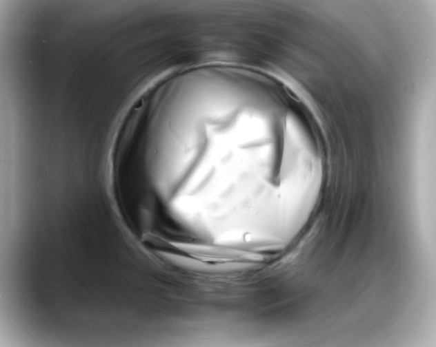 X0000088131341200706041941