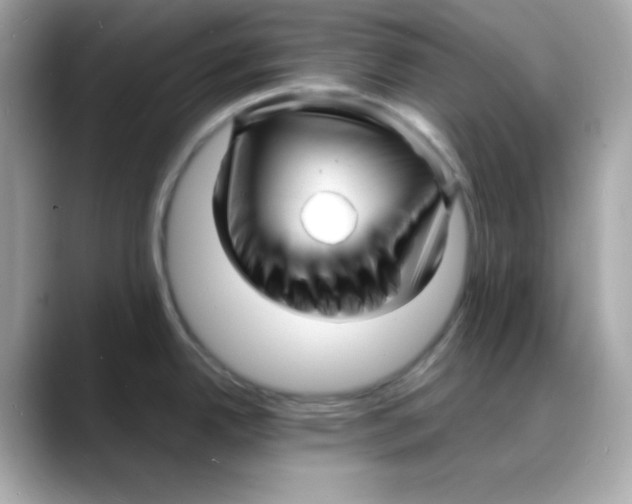 X0000088131342200706041941