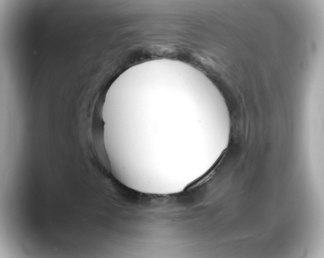 X0000088131345200706041940