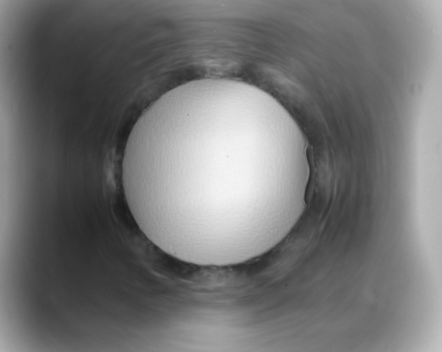 X0000088131346200706041940