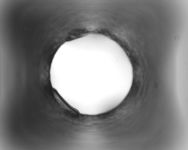 X0000088131349200706041940