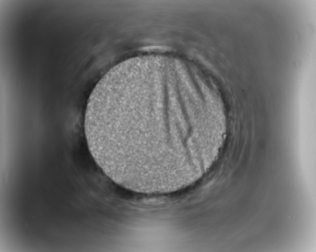 X0000088131351200706041940