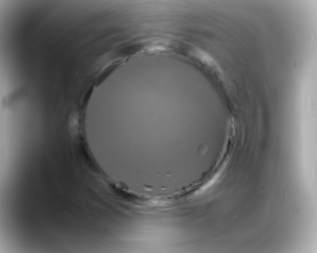 X0000088131353200706041940