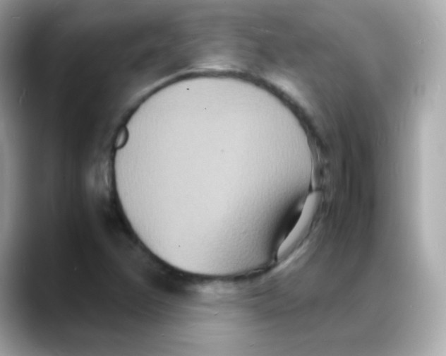 X0000088131358200706041940