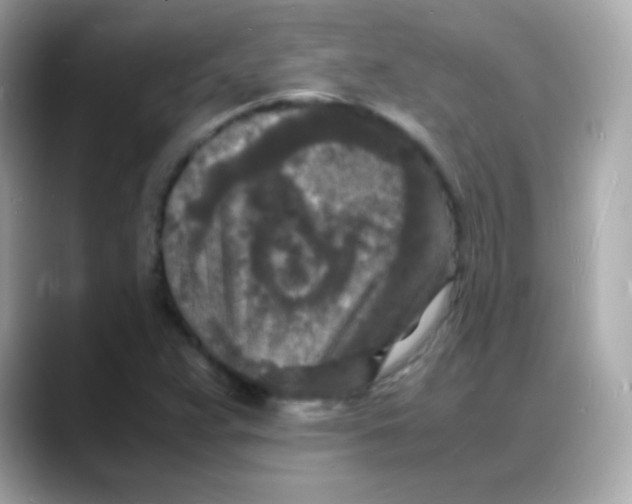 X0000088131359200706041940