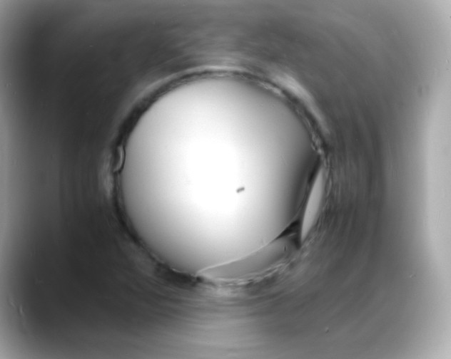 X0000088131360200706041940