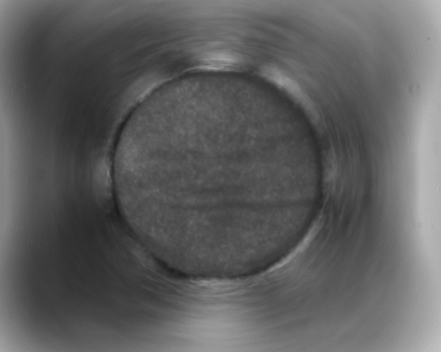 X0000088131362200706041940