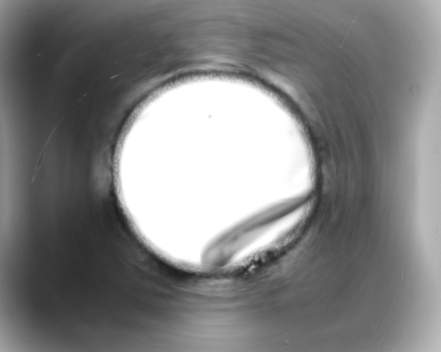 X0000088131363200706041940