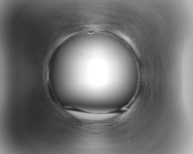 X0000088131365200706041940