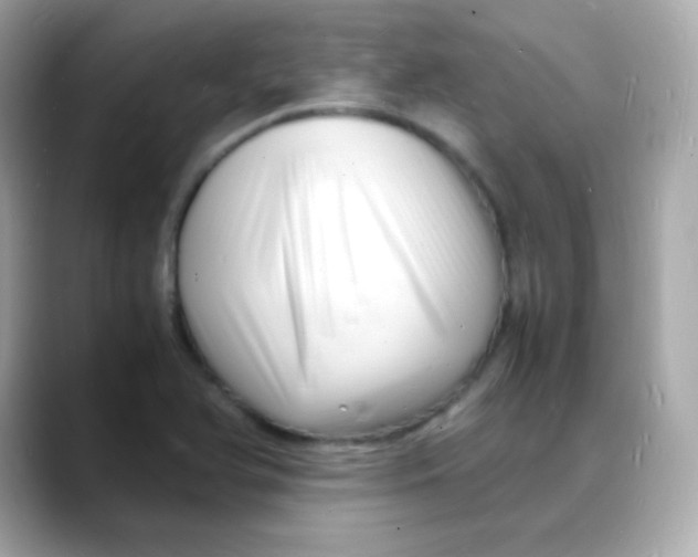 X0000088131366200706041940