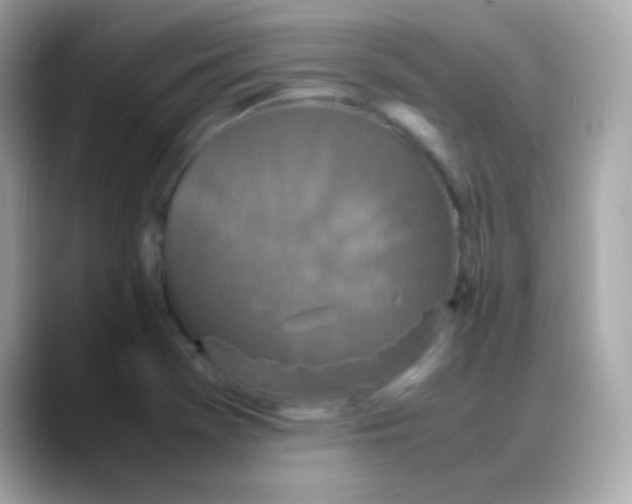 X0000088131369200706041940