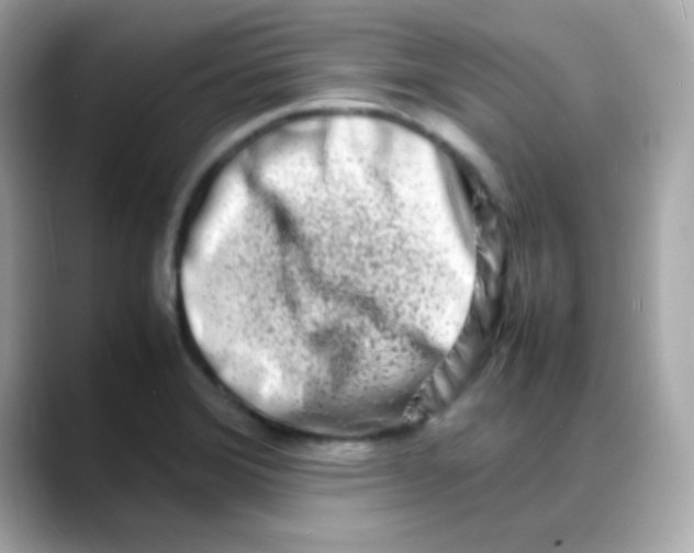 X0000088131372200706041940