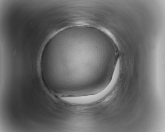 X0000088131373200706041940