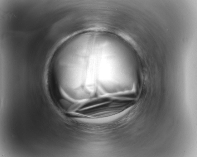 X0000088131375200706041940