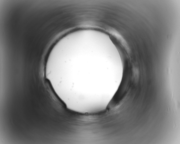 X0000088131376200706041940