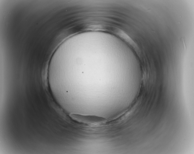 X0000088131378200706041940