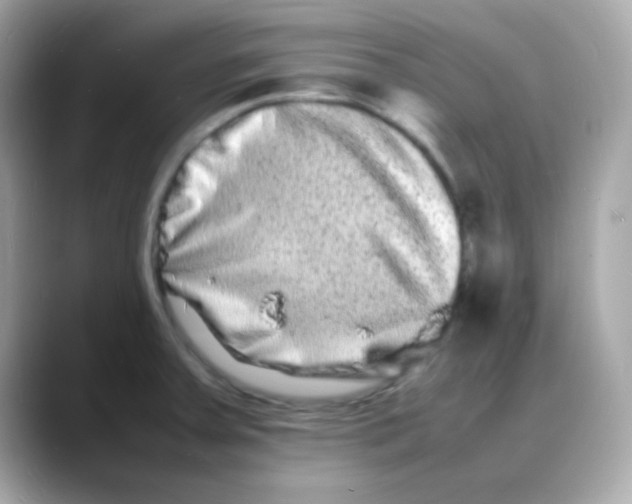 X0000088131379200706041940