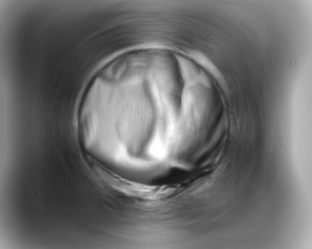 X0000088131380200706041940