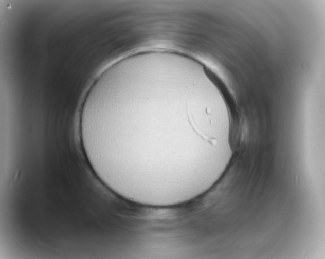 X0000088131382200706041940