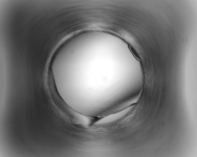 X0000088131384200706041940