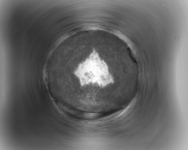 X0000088131385200706041940