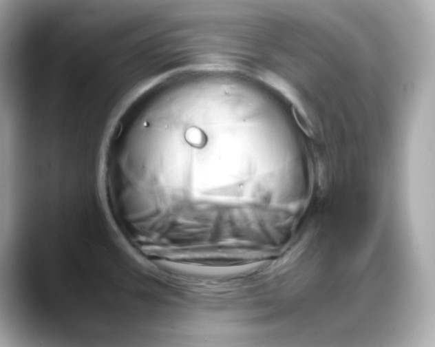 X0000088131387200706041940