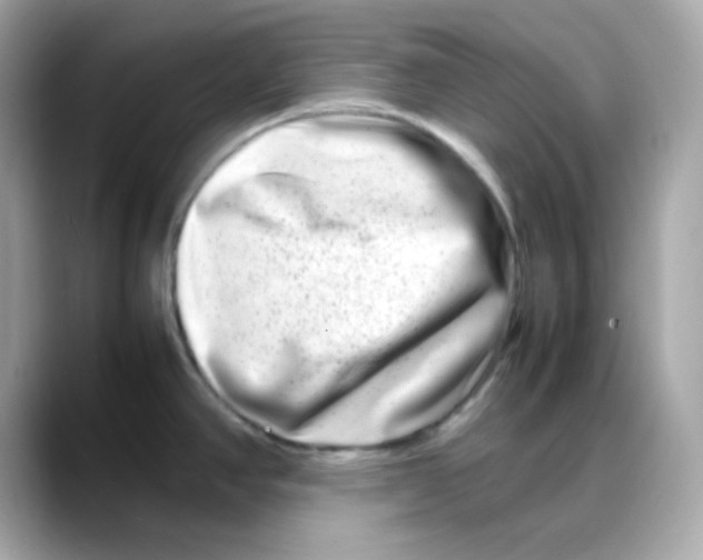 X0000088131390200706041940