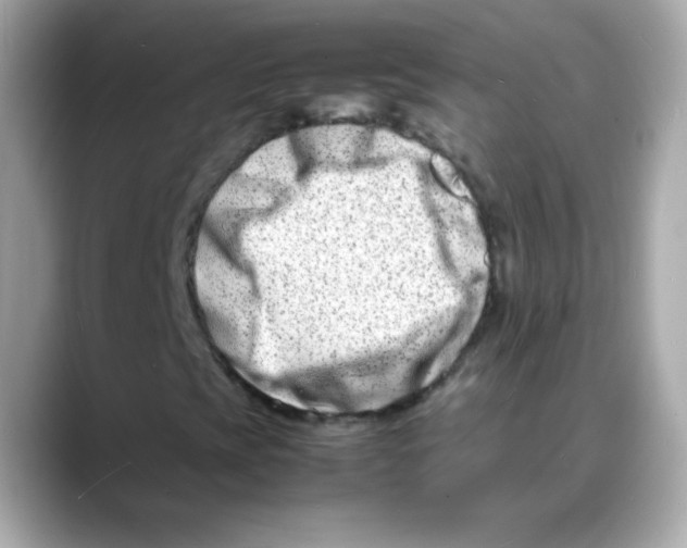 X0000088131393200706041939