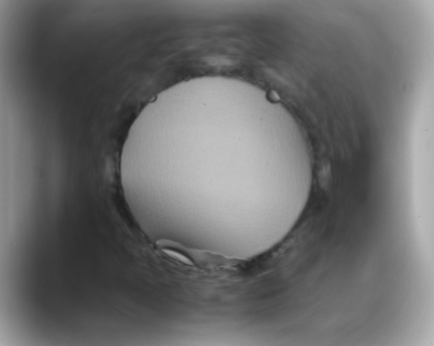 X0000088131397200706041939