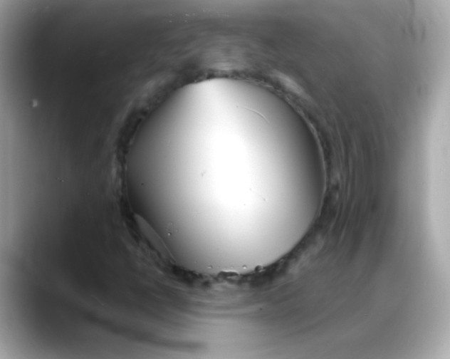 X0000088131398200706041939