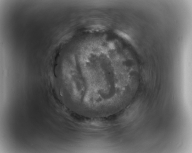 X0000088131399200706041939