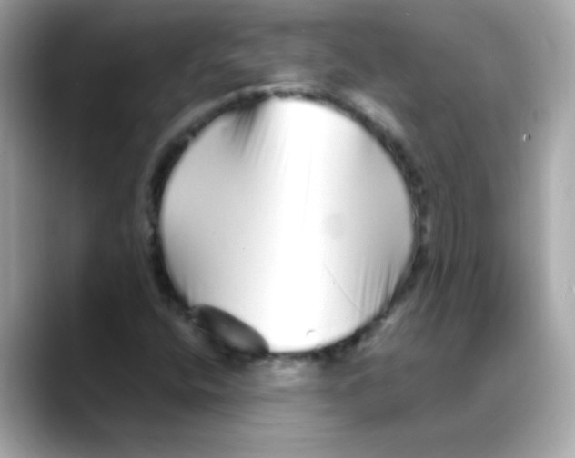 X0000088131400200706041939