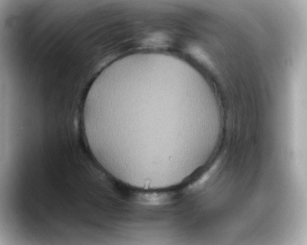 X0000088131401200706041939