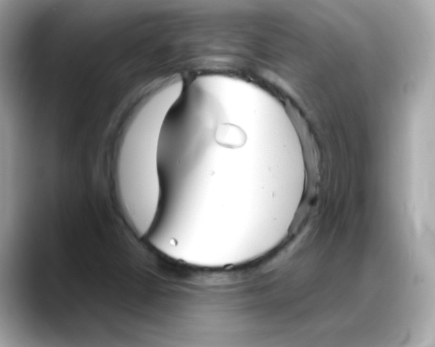 X0000088131402200706041939