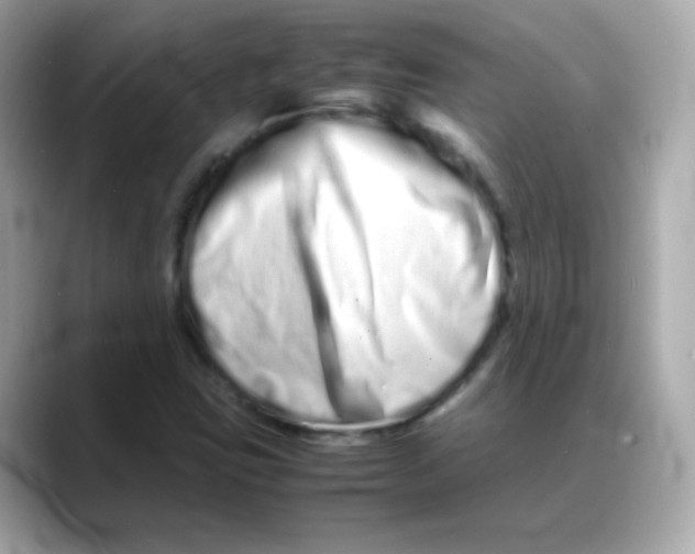 X0000088131403200706041939