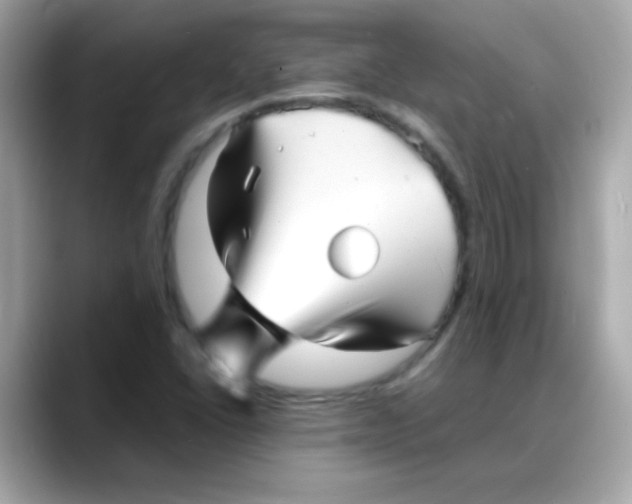 X0000088131406200706041939