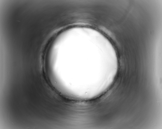 X0000088131408200706041939