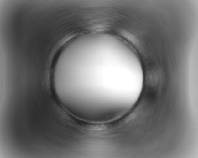 X0000088131410200706041939