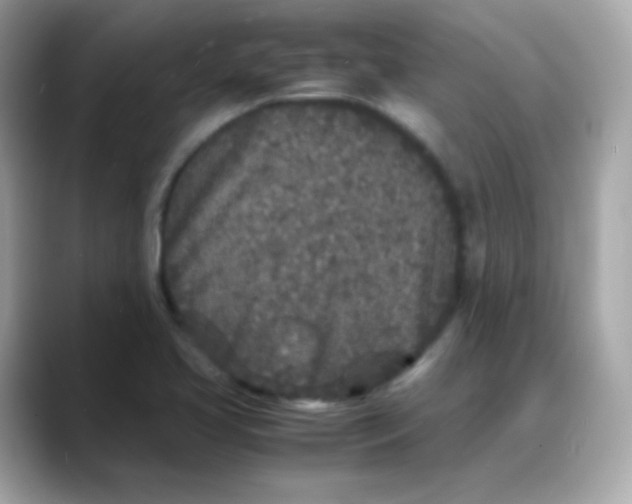 X0000088131413200706041939