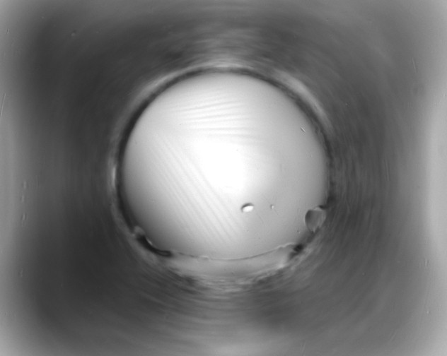 X0000088131416200706041939