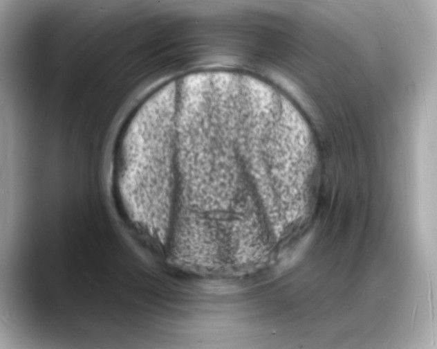 X0000088131418200706041939