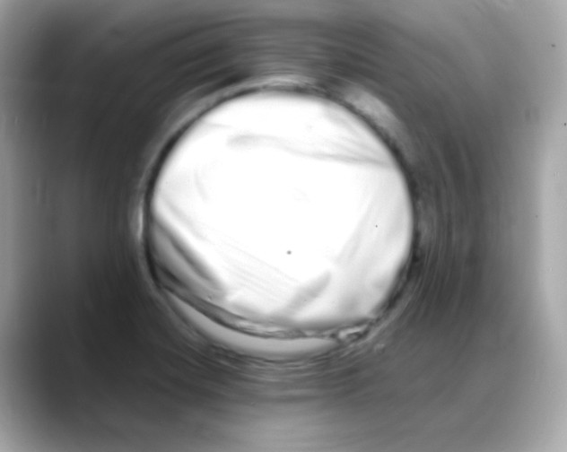 X0000088131420200706041939