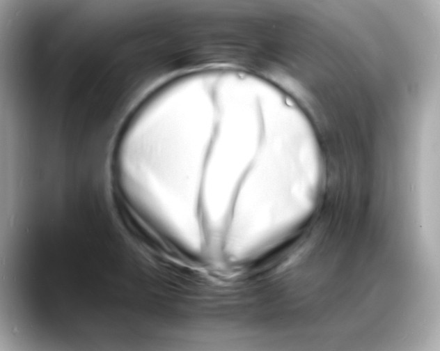 X0000088131423200706041939