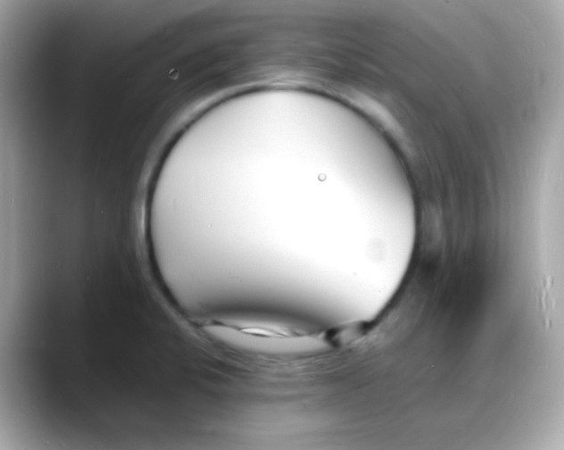 X0000088131424200706041939