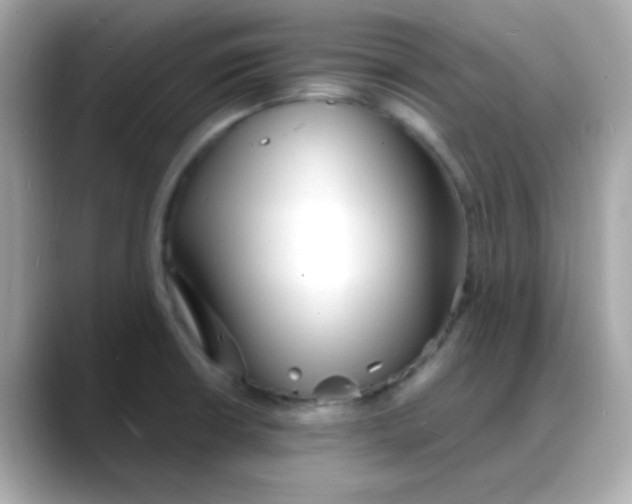 X0000088131426200706041939