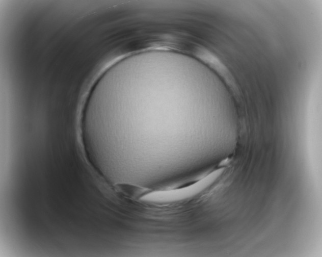 X0000088131427200706041939