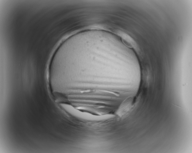 X0000088131428200706041939